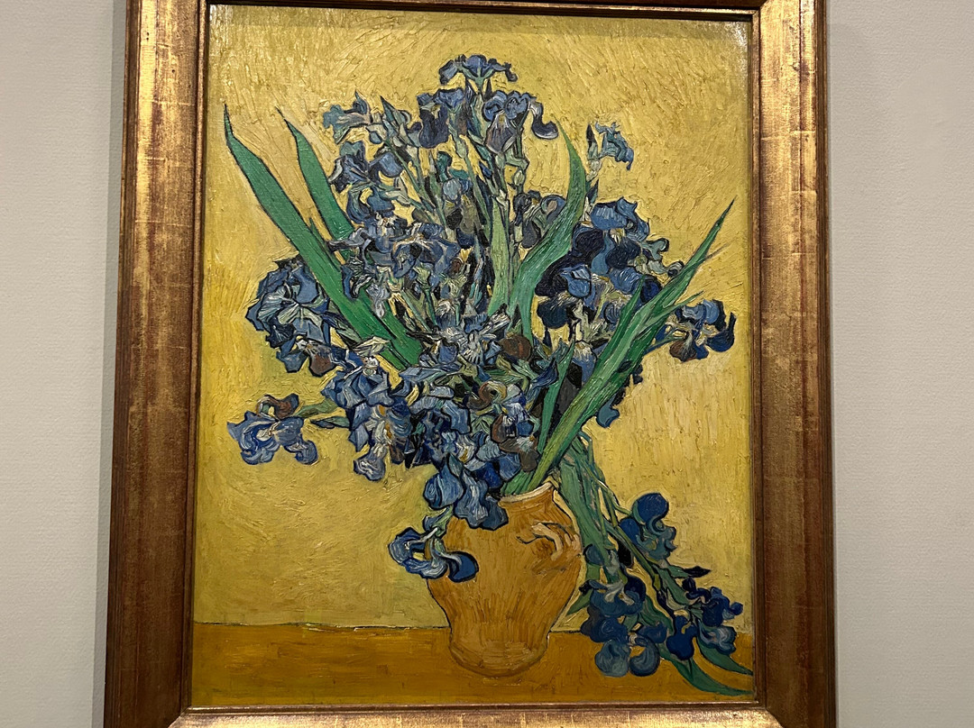 Babylon Tours Amsterdam-阿姆斯特丹必去景点