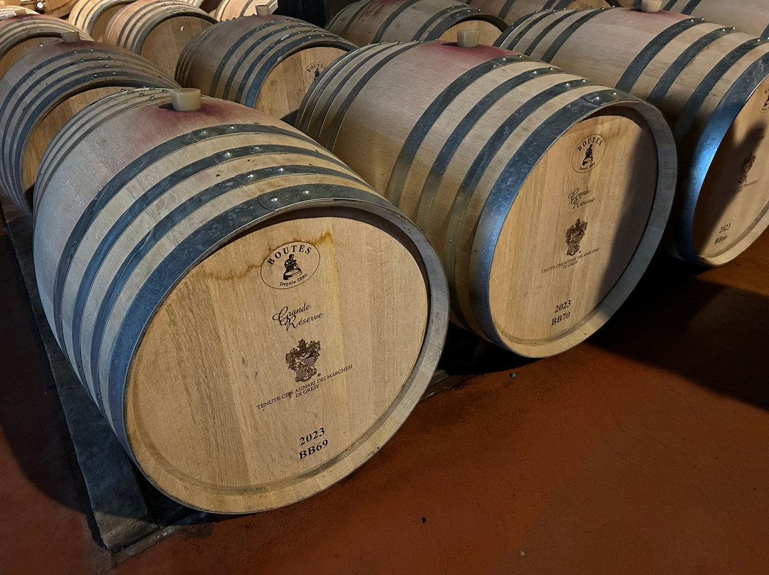 Tenute Cisa Asinari dei Marchesi di Grésy S.S.A. Azienda Agricola Martinenga景点图片