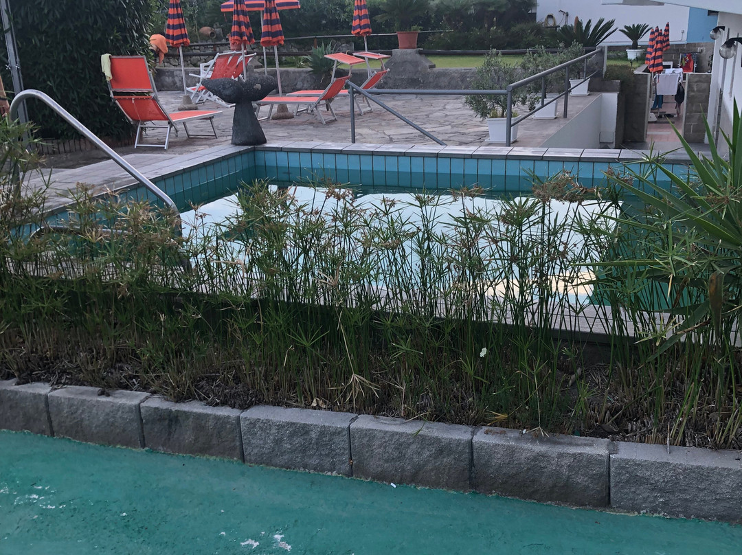 Hotel La Mandorla***主图