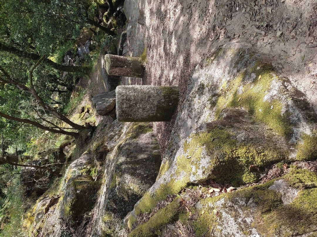 Parque Nacional Peneda-Gerês景点图片
