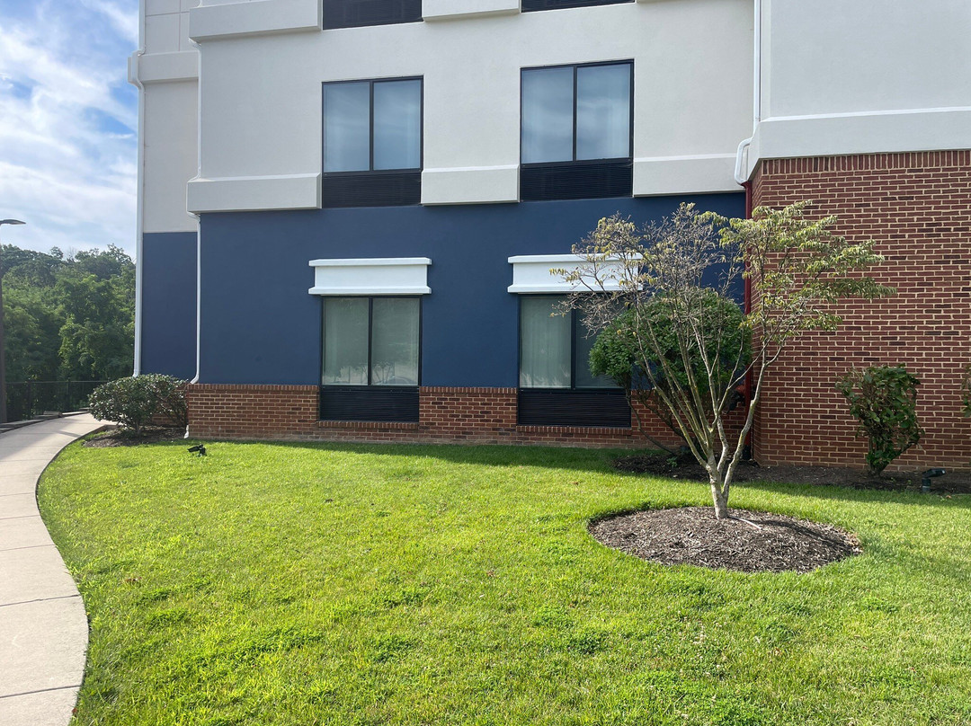 SpringHill Suites by Marriott Alexandria主图