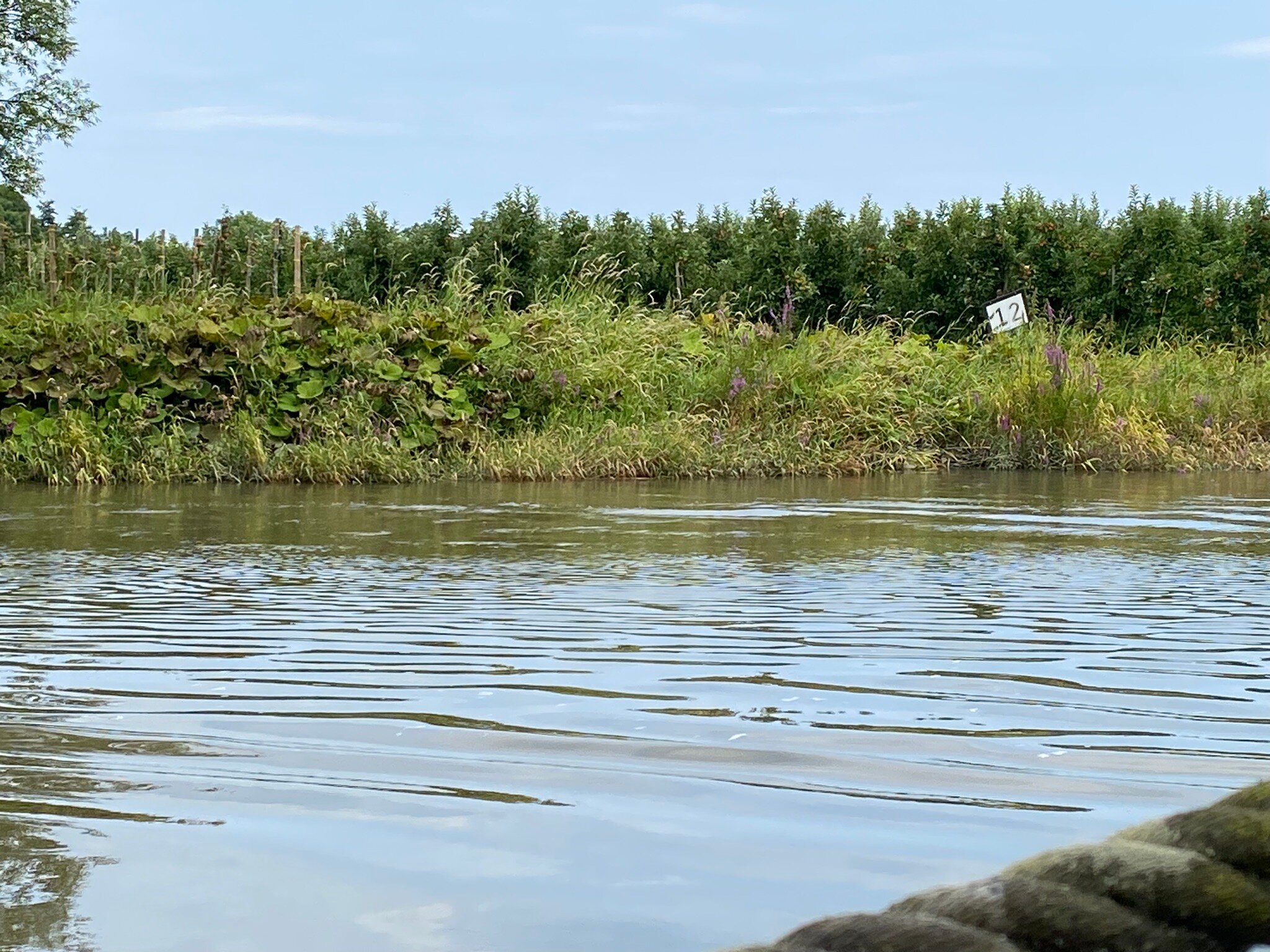 Pension Hessbögel-官方