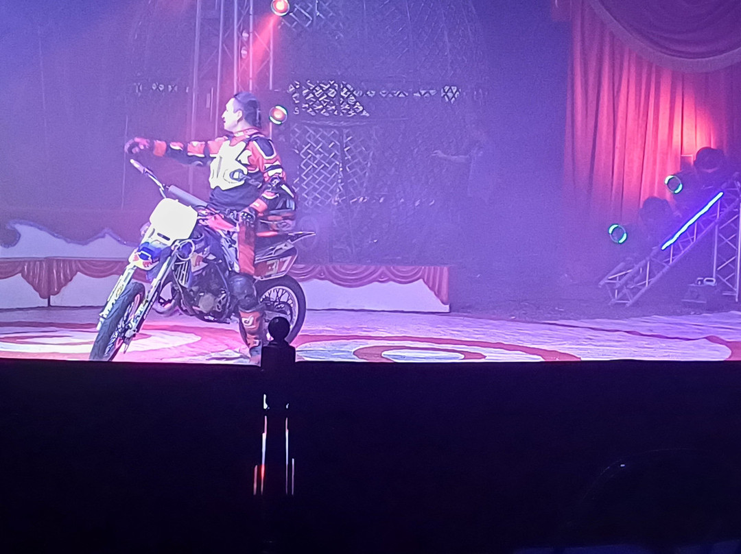 Circus Gerbola-Lucan必去景点