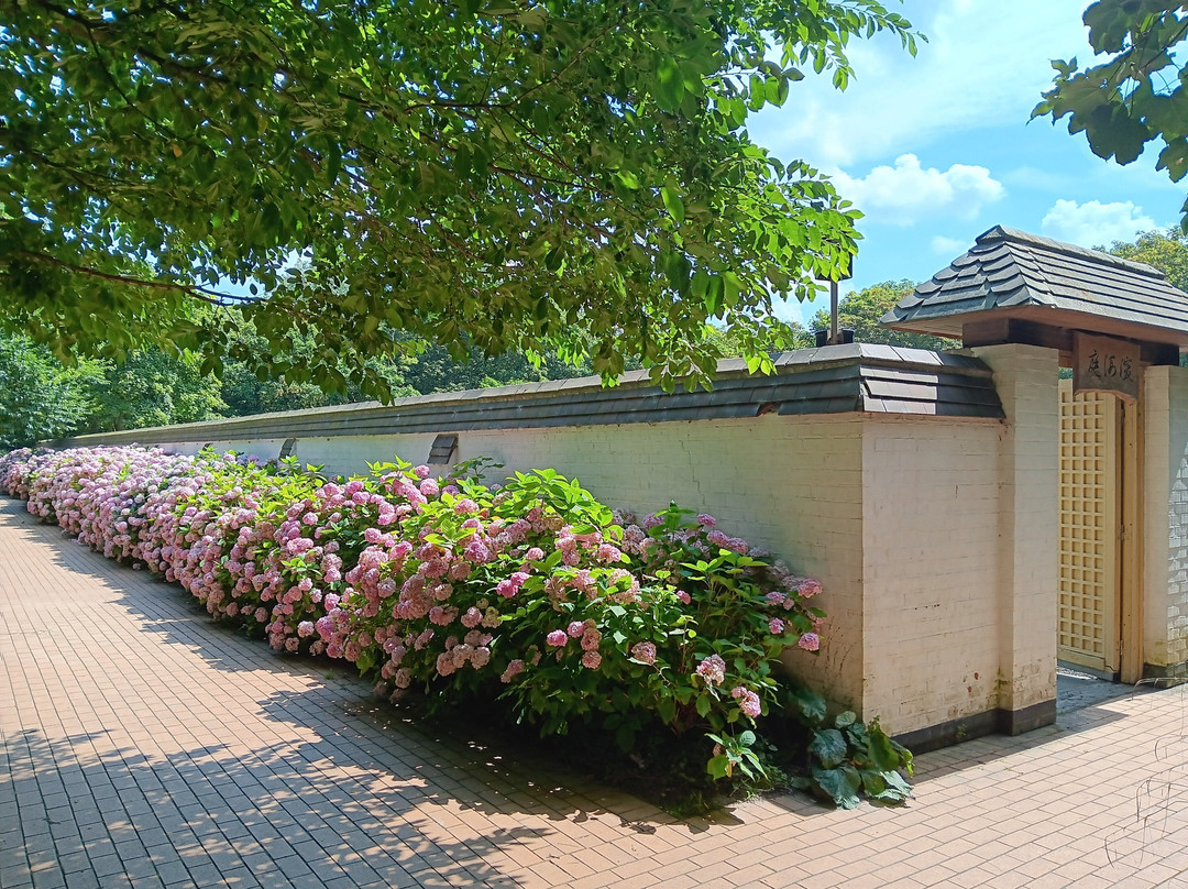 Jardin Japonais-奥斯坦德必去景点