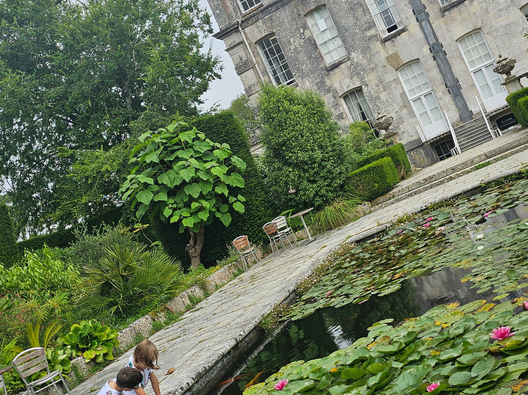 Kingston Maurward Park and Gardens景点图片