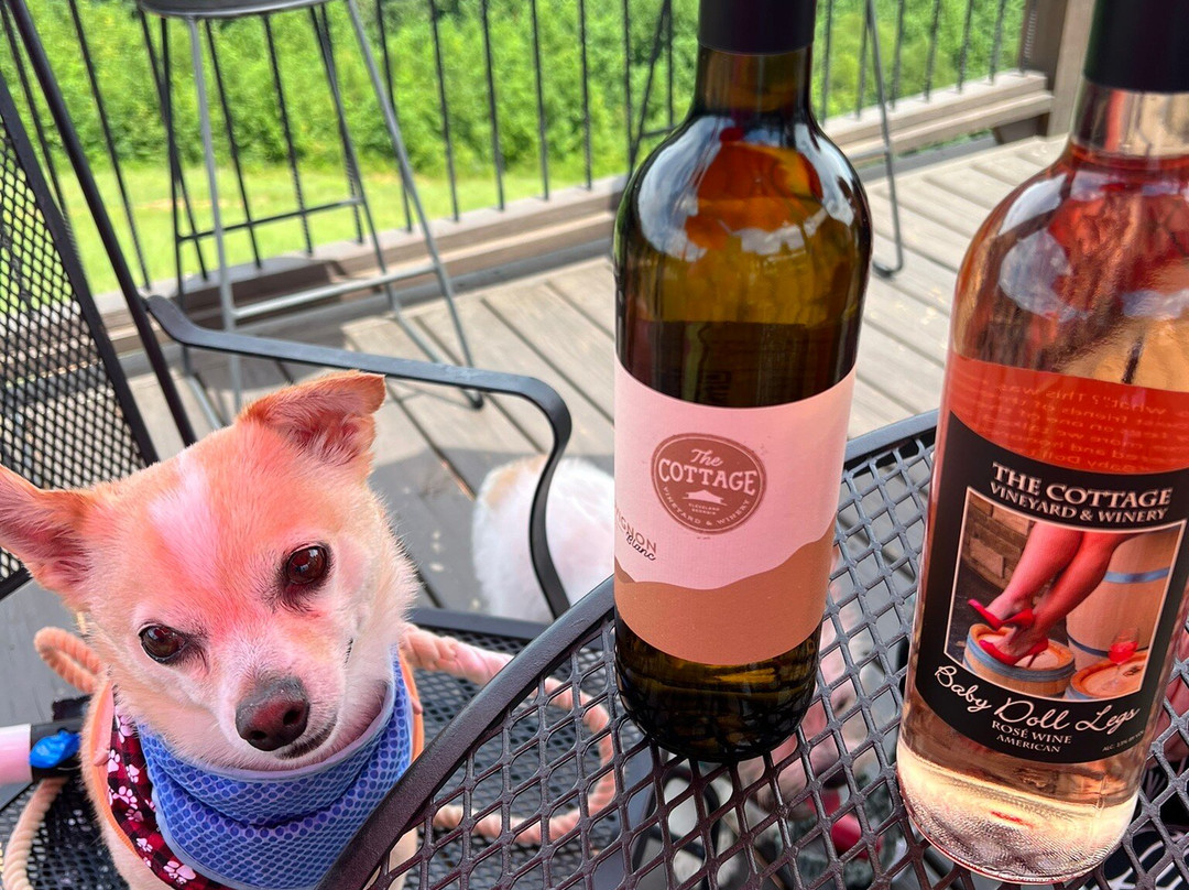 Cottage Vineyard and Winery景点图片