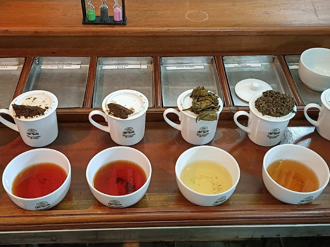 Mlesna Tea Castle景点图片