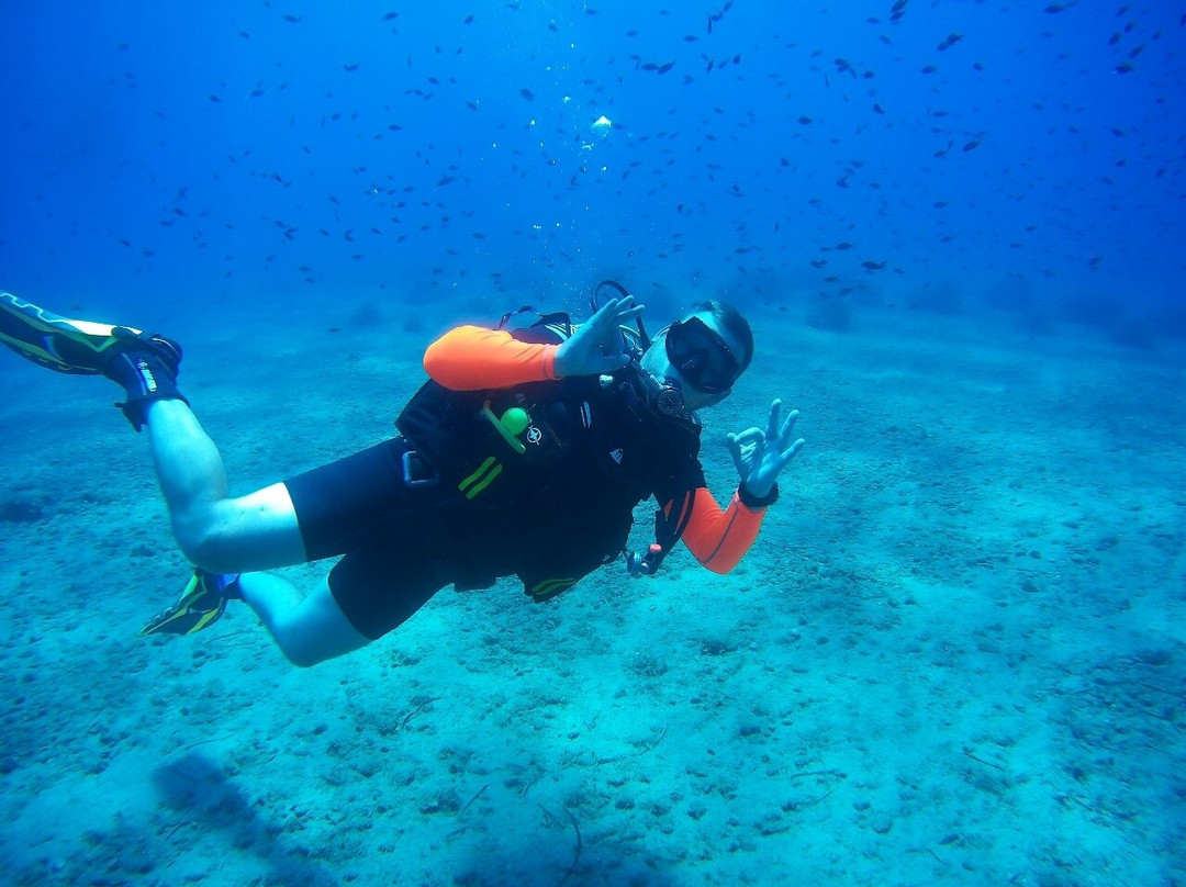 Blue Diving Center景点图片