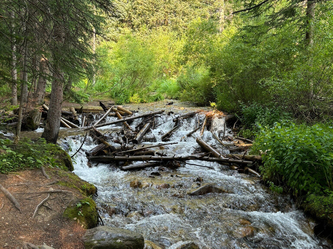 Sawmill Creek Trail-布雷肯里奇必去景点