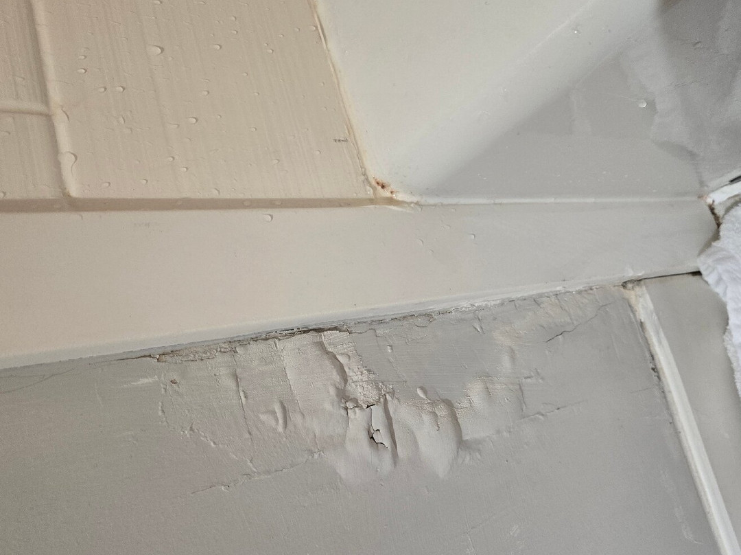 Holiday Inn Express Birch Run (Frankenmuth Area) by IHG主图