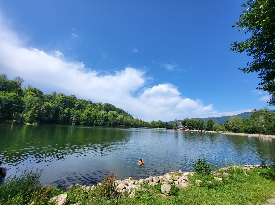 Lacul Bodi (Bodi-Mogoşa Lake)景点图片