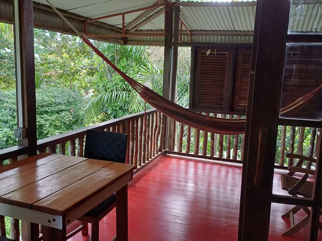 Guesthouse Little Paradise主图