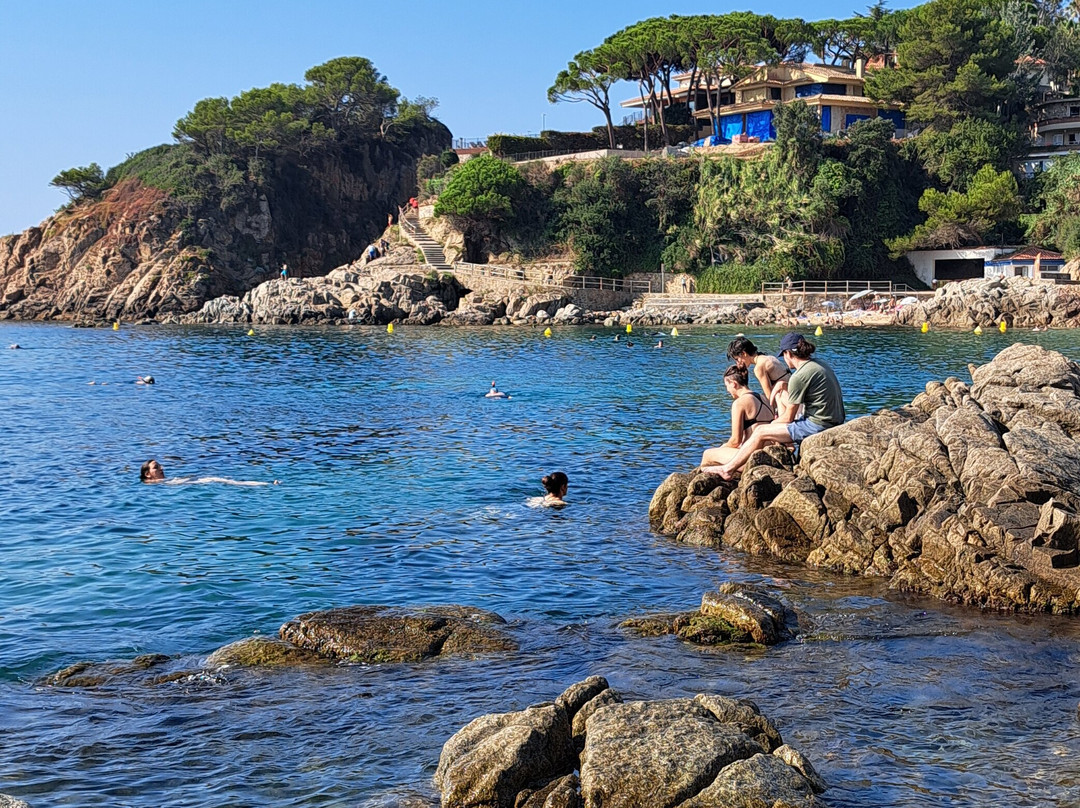 Cala de Sant Francesc景点图片