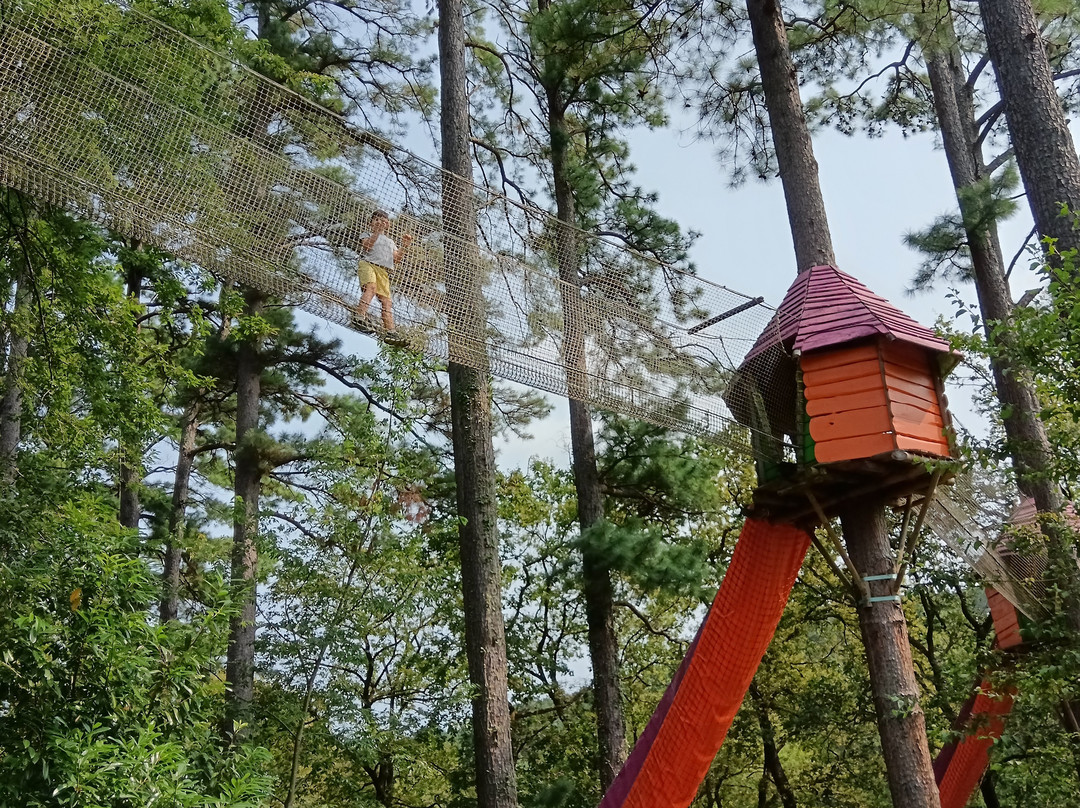 WoWPark景点图片