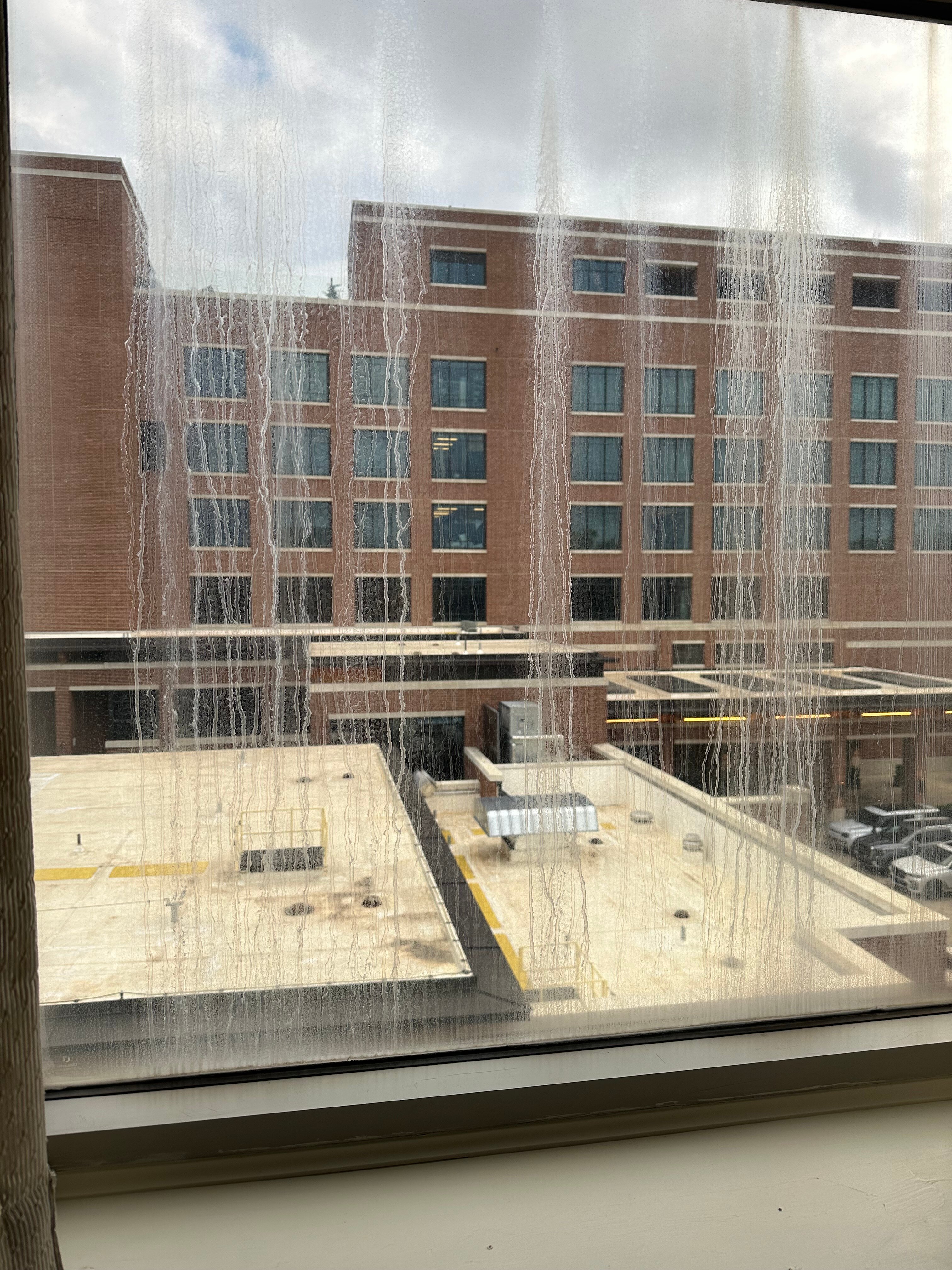 奥本大学酒店-客卧