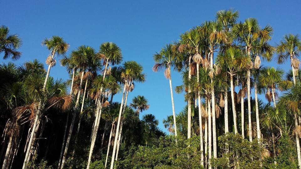 Sandoval Lake Lodge主图