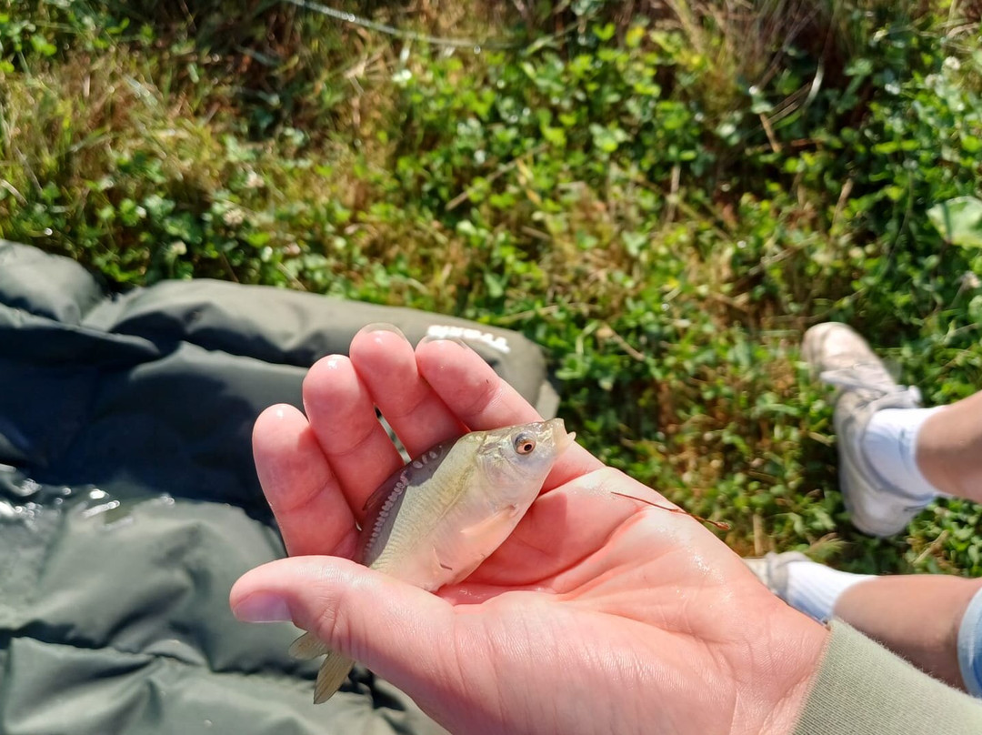 Fish Fun Vrouwenpolder景点图片