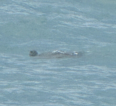 Playa de Ajabo-Callao Salvaje必去景点