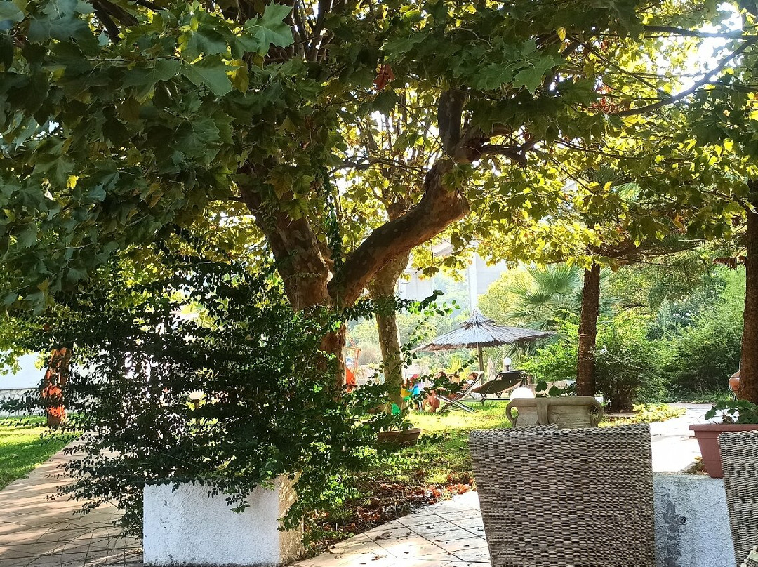 Hotel Parco delle Rose主图