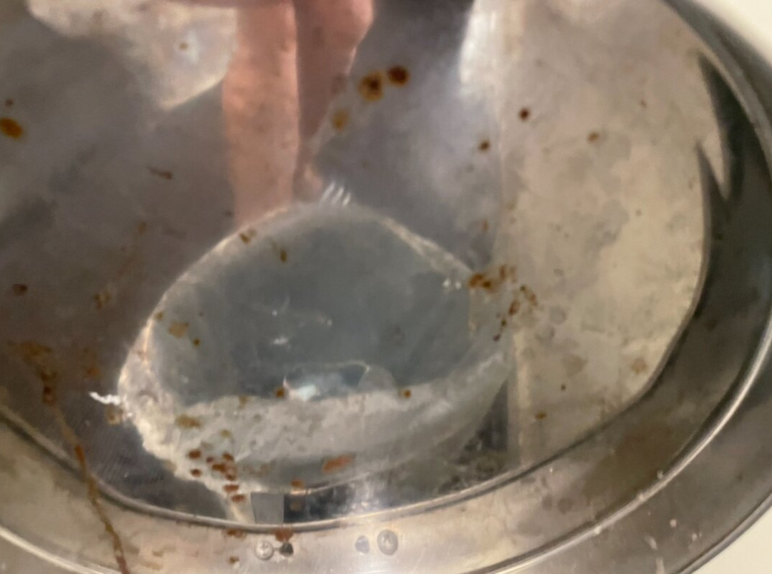 The Grapevine Motel主图