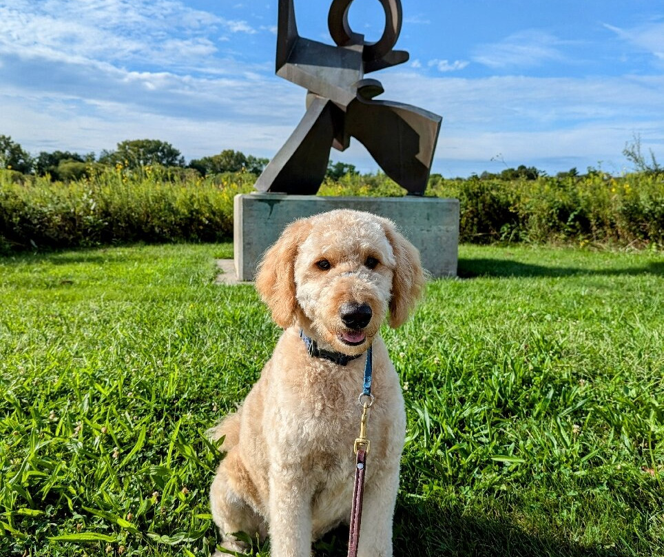 Meadowbrook Park-厄巴纳必去景点