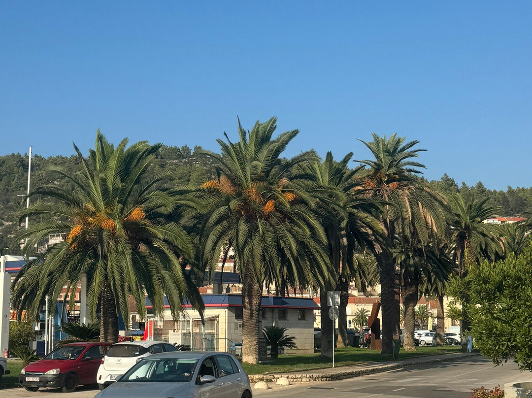 Vela Luka Marina景点图片