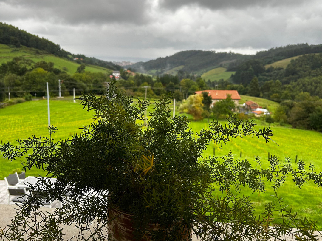 Hotel Nafarrola Gastronomy & Wine主图