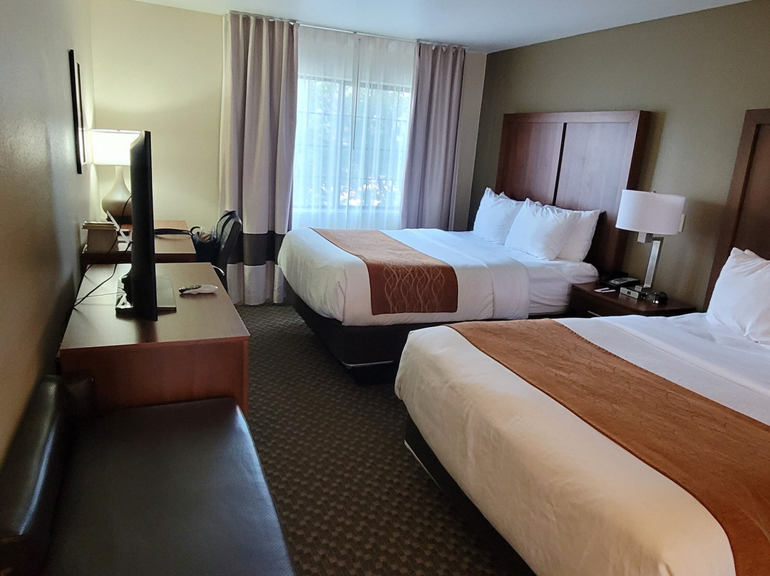 Comfort Inn & Suites - Midtown主图