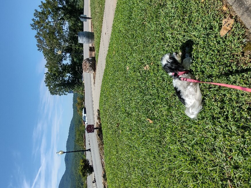 Creekstone Winery-Sautee Nacoochee必去景点