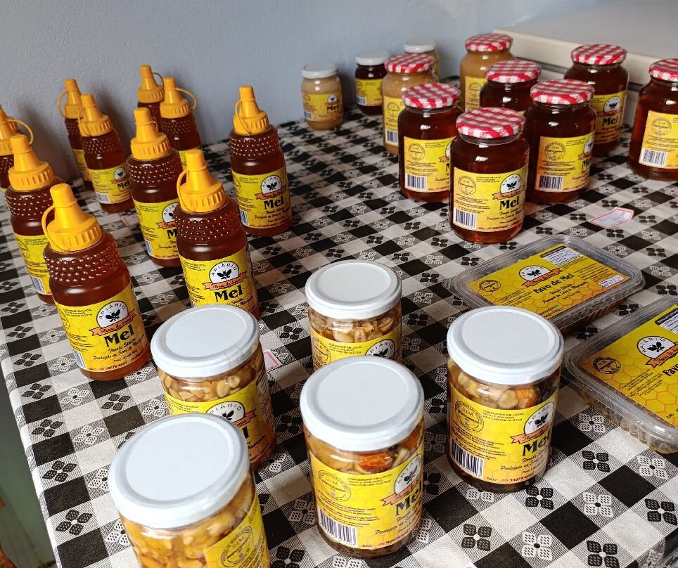 Apiário Flores da Serra-蒙特贝尔德必去景点