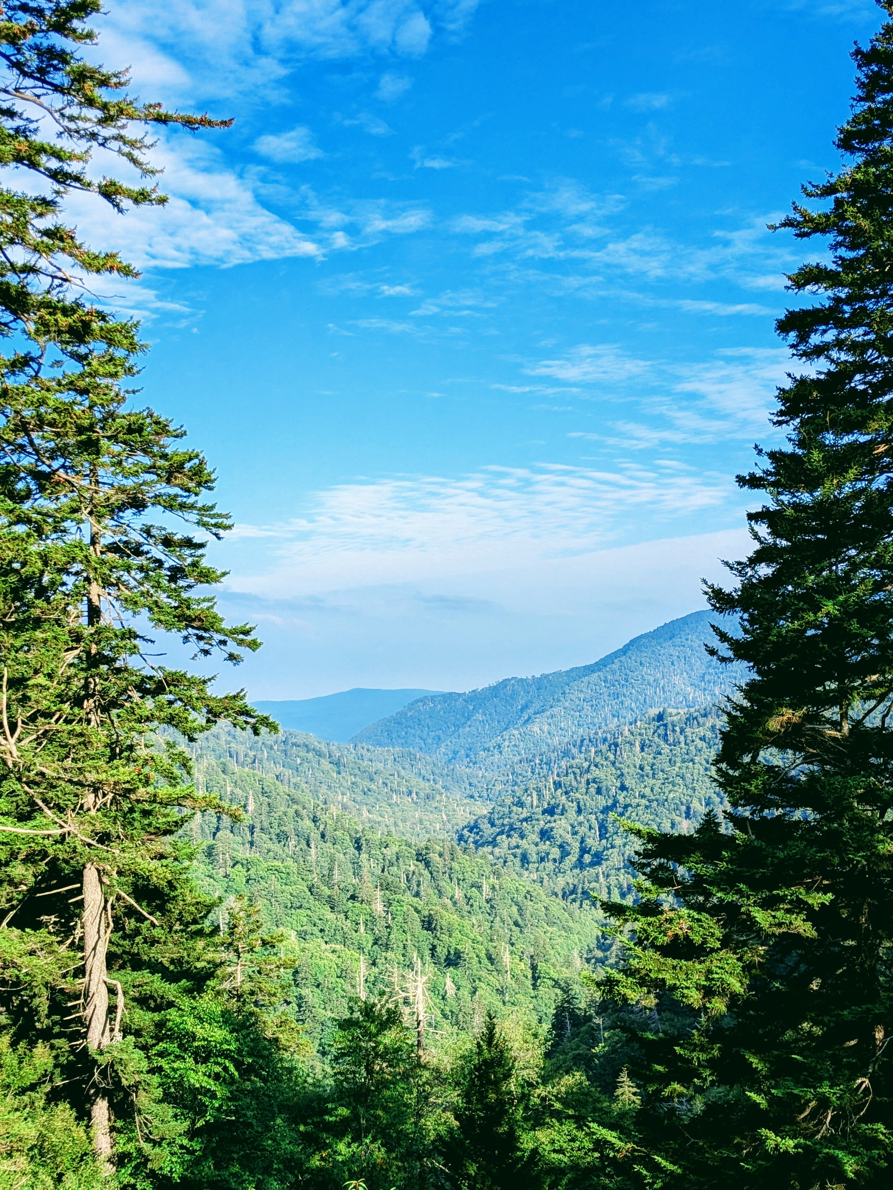 Hilton Vacation Club Bent Creek Golf Village Gatlinburg-官方