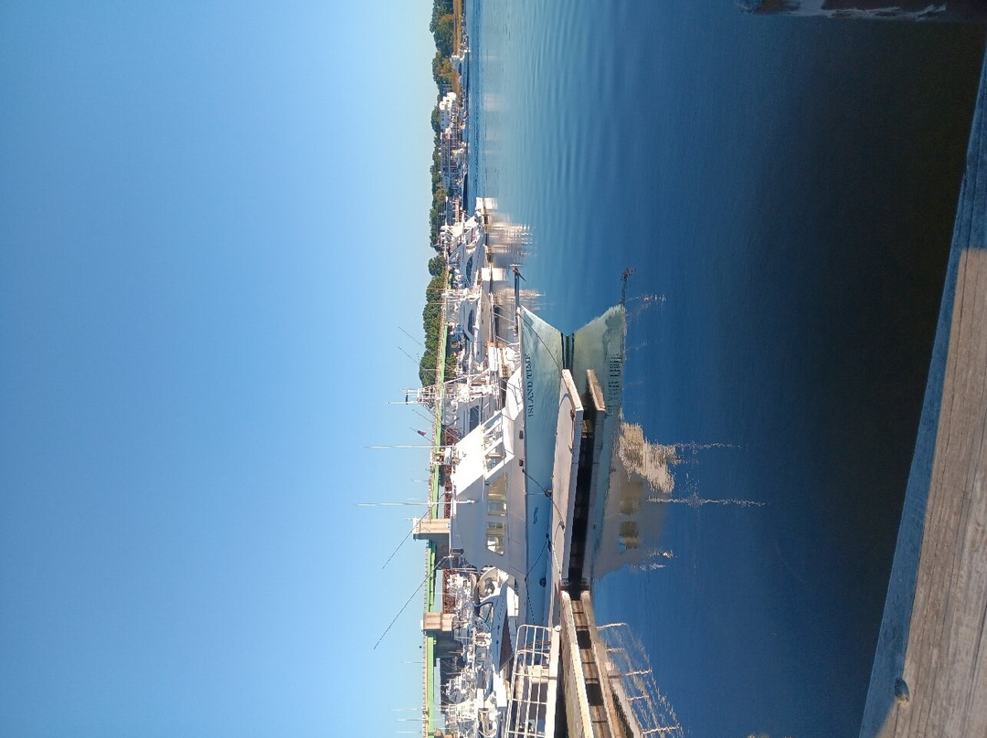 Waterfront Park景点图片