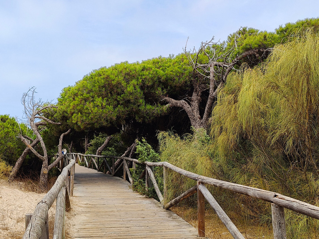 Camino Natural de Rota-罗塔必去景点
