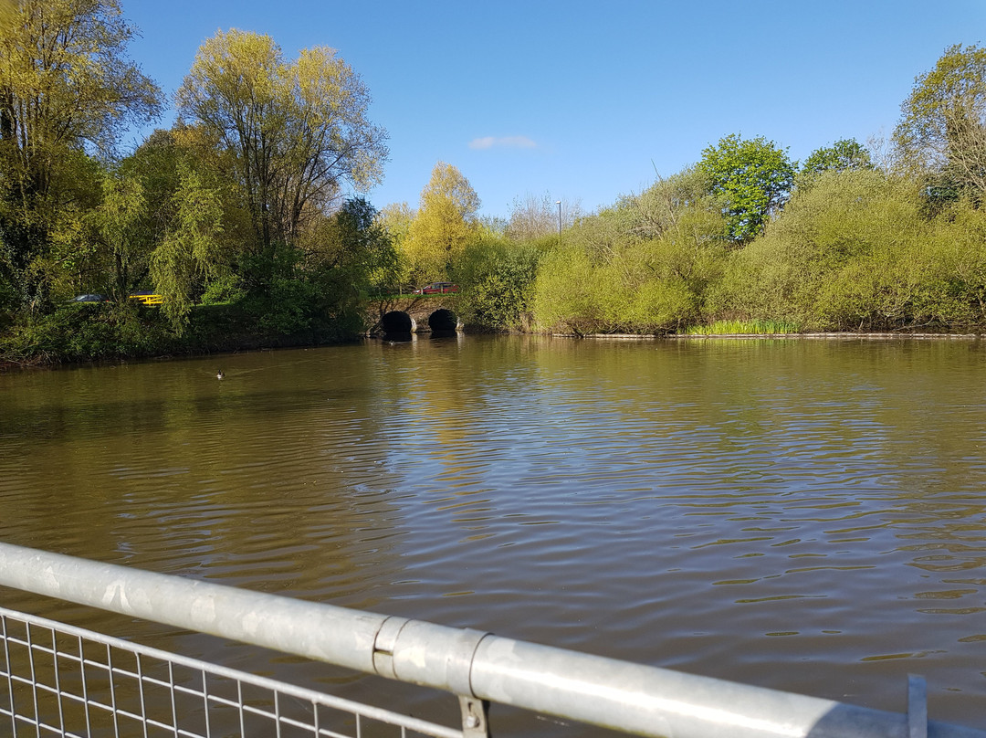 Ifield Mill Pond and Bewbush Water Gardens景点图片