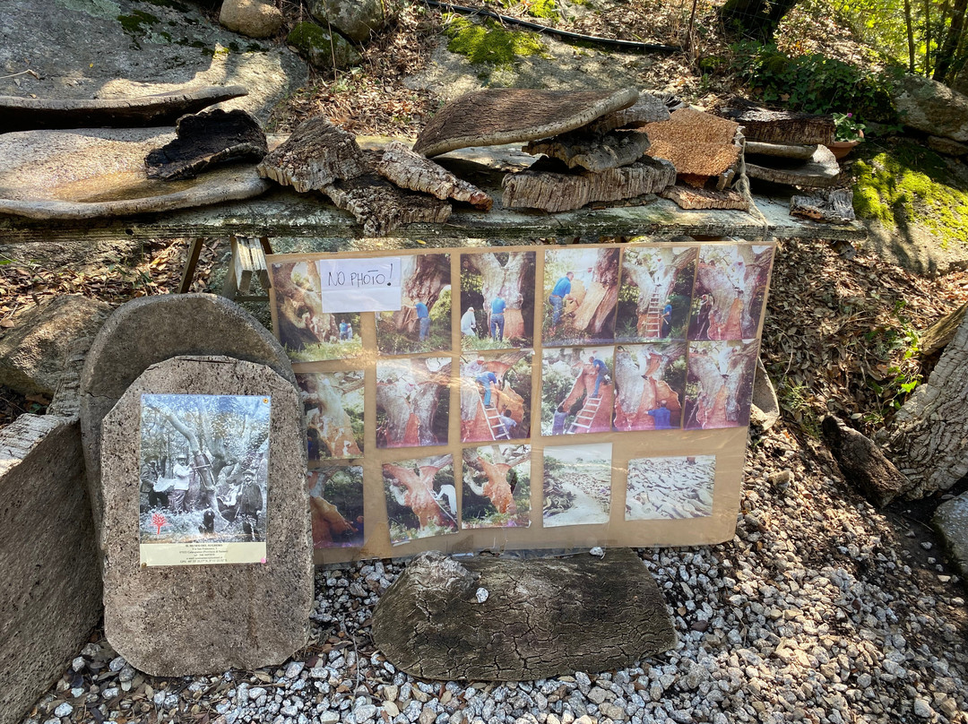 Nuraghe Majori-Tempio Pausania必去景点