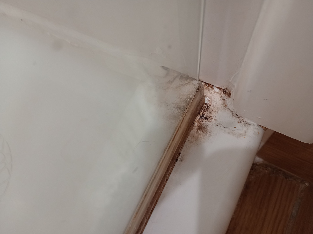 La Quinta Inn & Suites by Wyndham Detroit Metro Airport主图