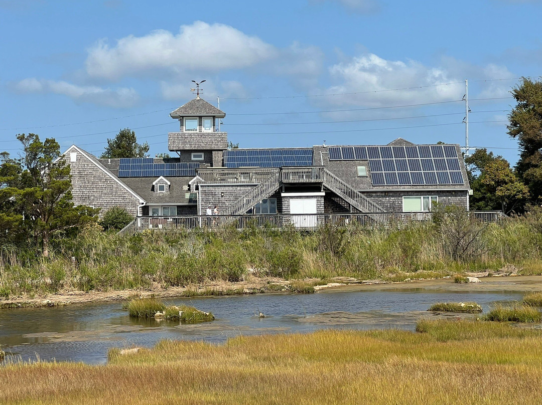 The Wetlands Institute景点图片