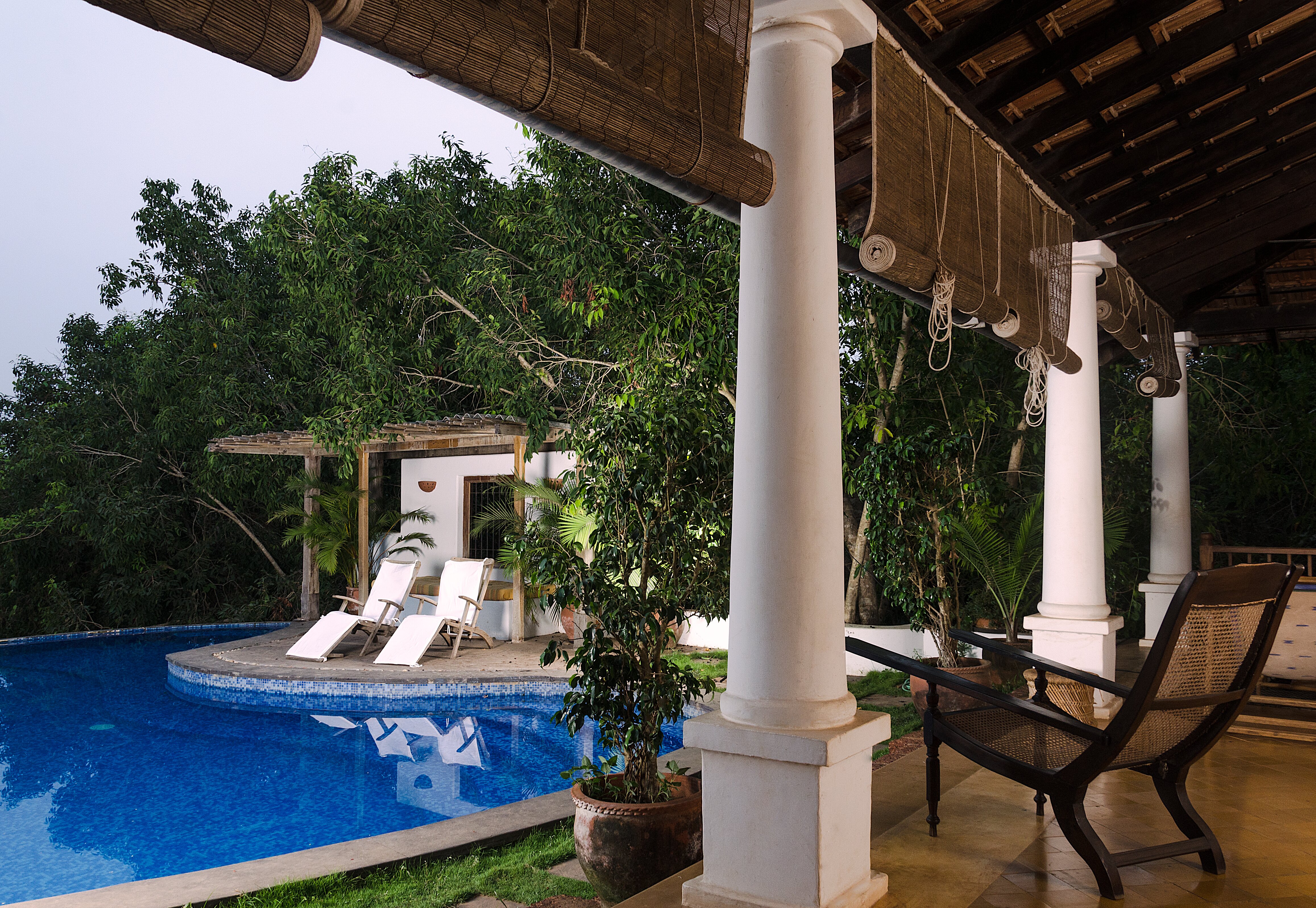 Capella Forest Retreat & Homestay-泳池