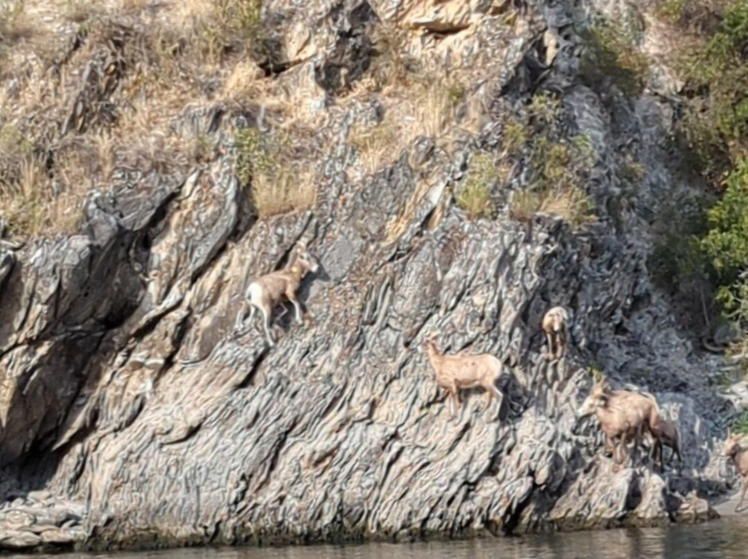 Nez Perce Tourism, LLC-刘易斯顿必去景点