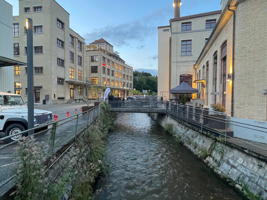 Winterthur - Offizielle Stadtführungen-温特图尔必去景点