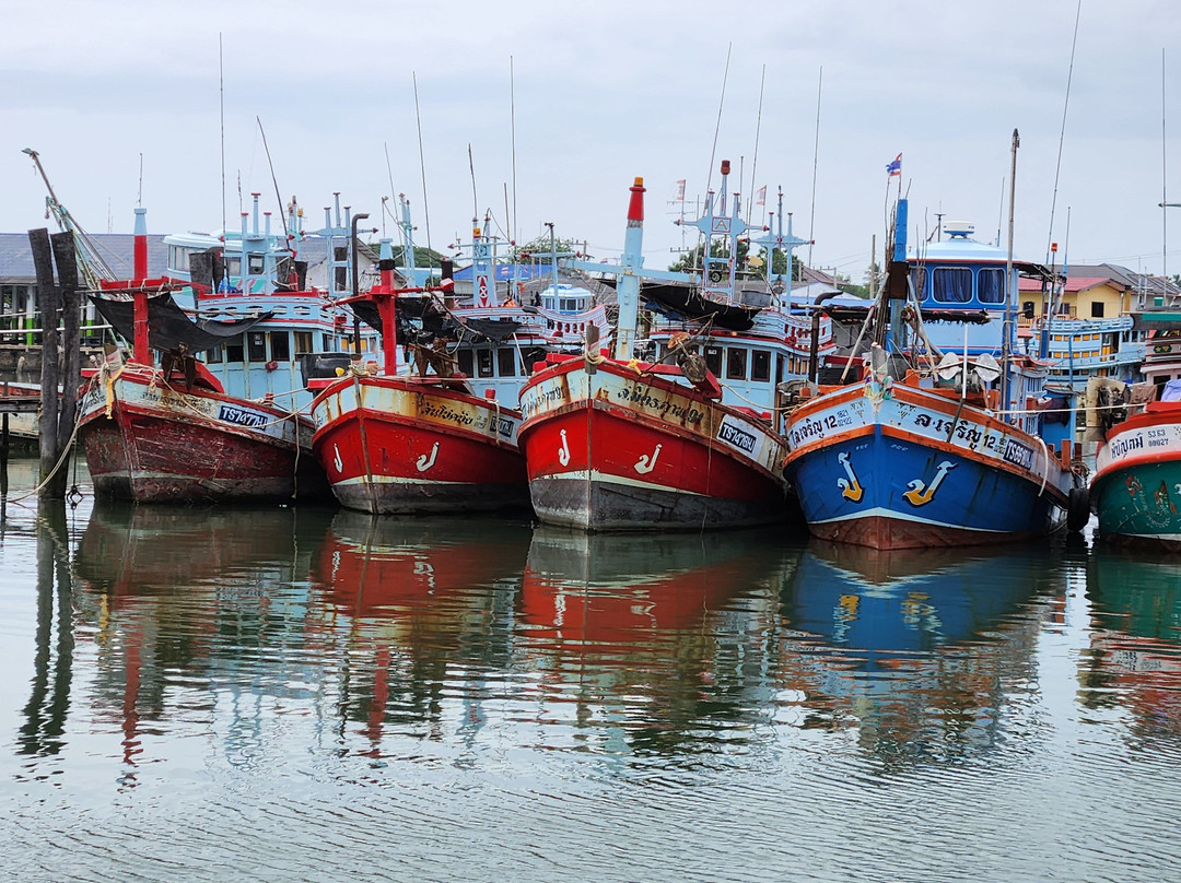 Chinese Junk Ratee Petra景点图片