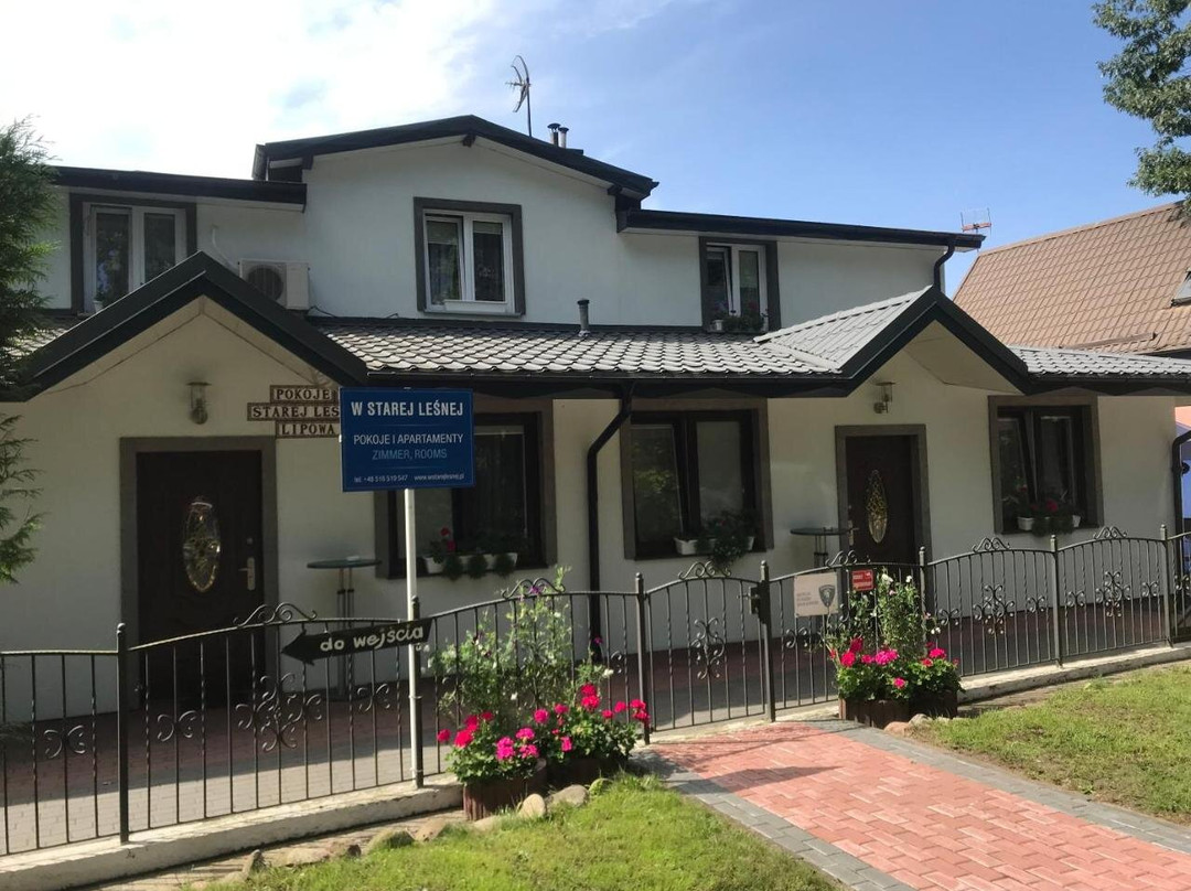 W Starej Lesnej