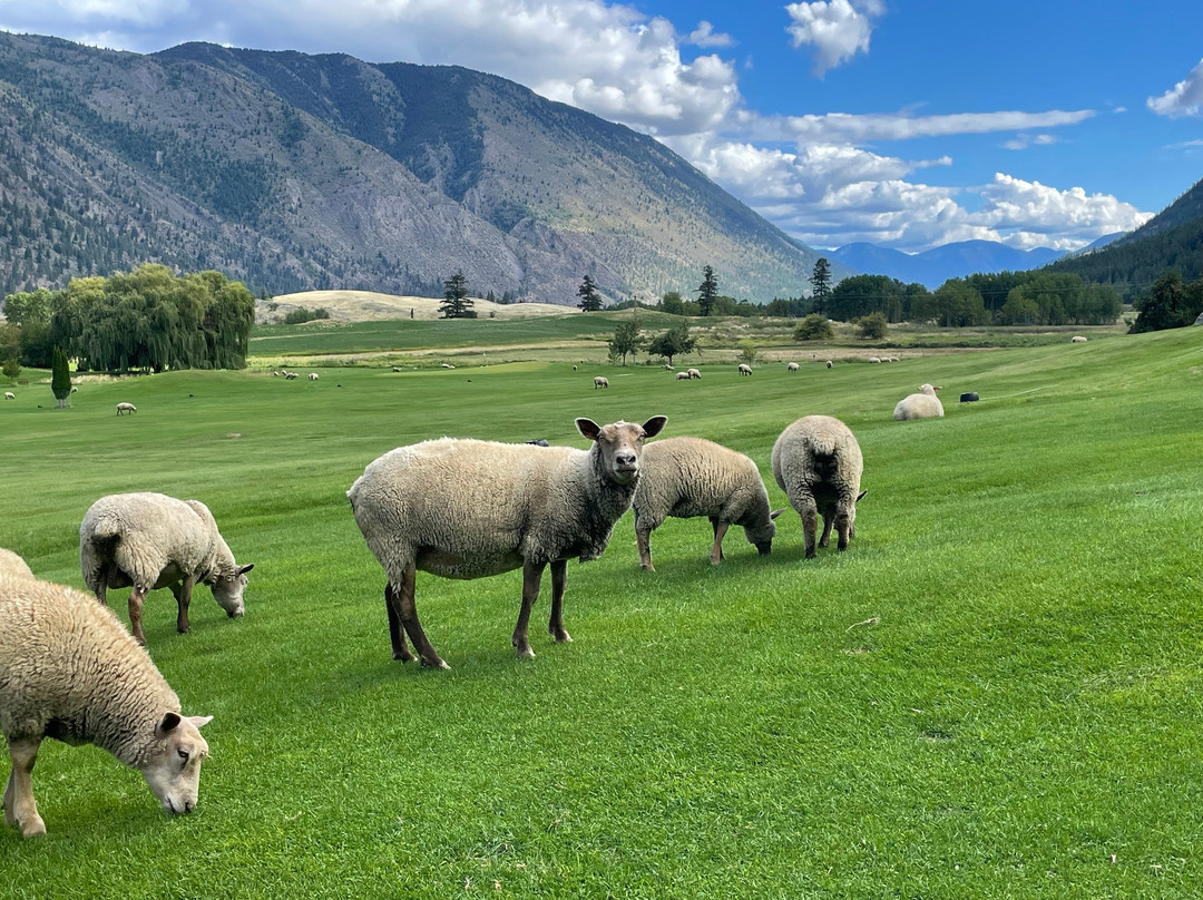 Sheep Pasture Golf Course-Lillooet必去景点
