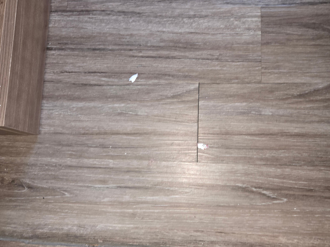 Super 8 by Wyndham Poplar Bluff Missouri主图