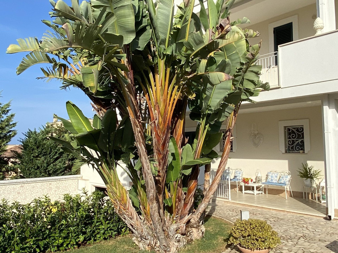 B&B Villa Marcella主图