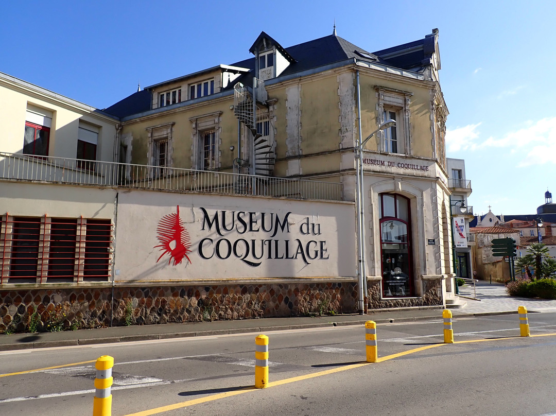 Museum du Coquillage景点图片