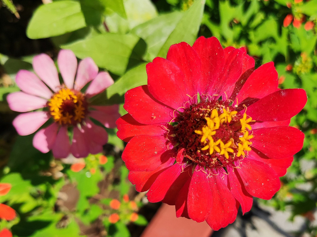 Albatross Apartments主图