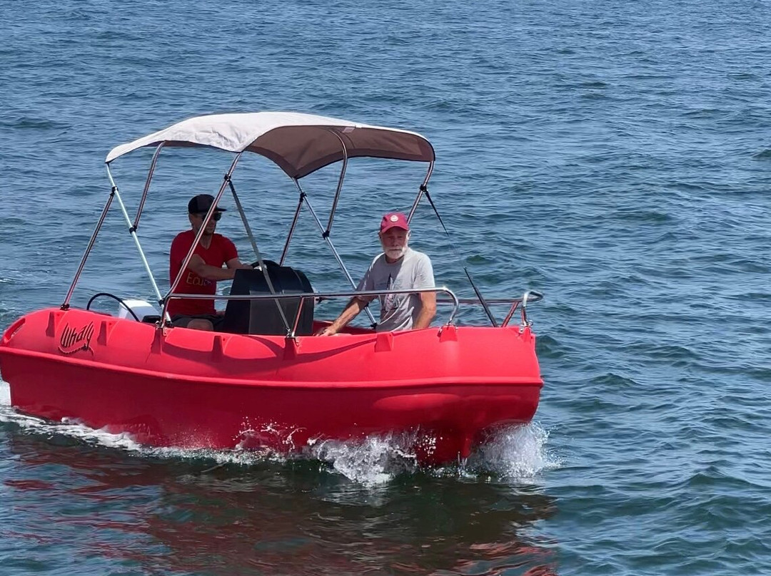 Eco Boat Rentals景点图片