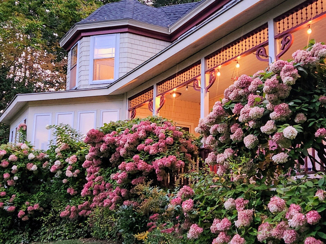 Victorian by the Sea主图