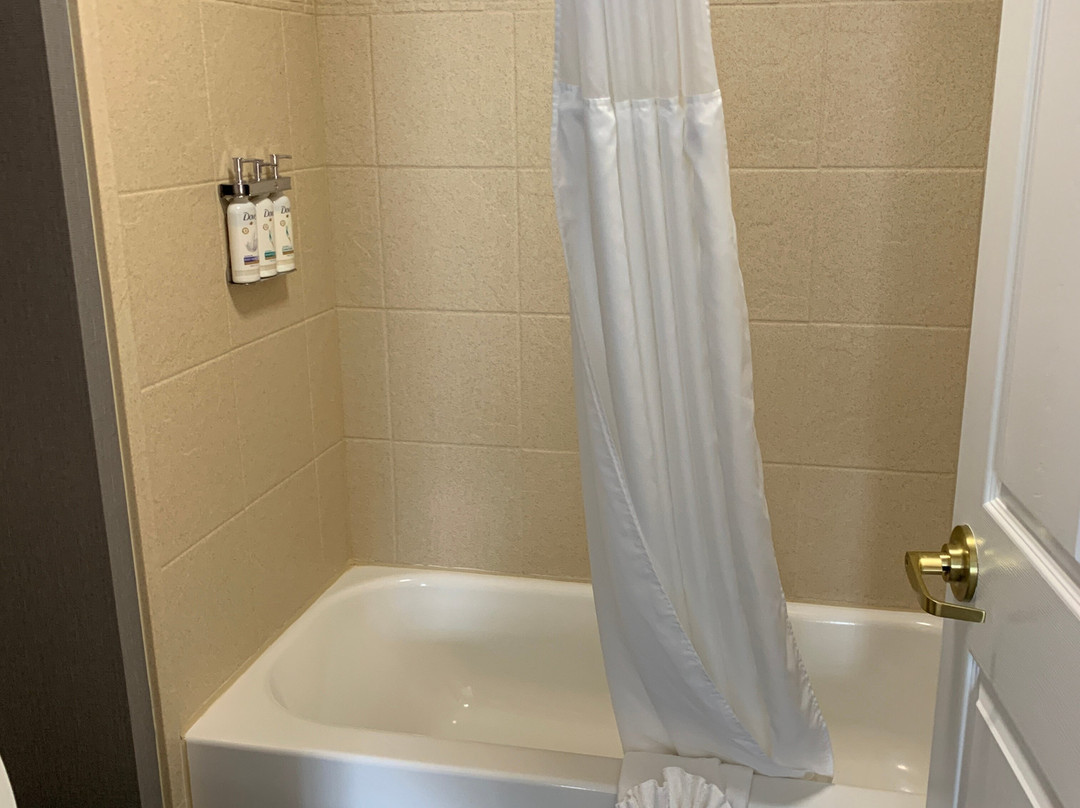 Staybridge Suites Lansing-okemos By IHG主图